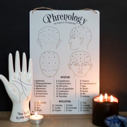 Phrenology Map Metal Sign - Image 2