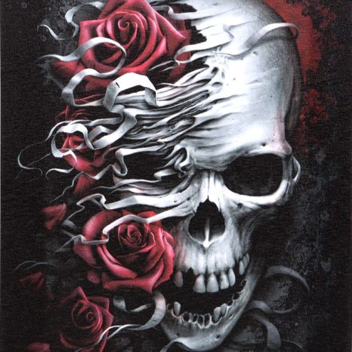 19x25cm Skulls n Roses Canvas Plaque by Spiral Direct - Image 2