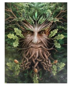 19x25cm Oak King Canvas Plaque by Anne Stokes