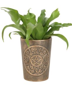 Triple Moon Bronze Terracotta Plant Pot by Lisa Parker